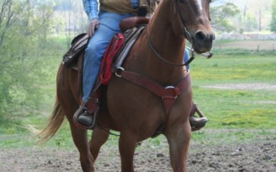 Older Photos of Dutch Creek Trails