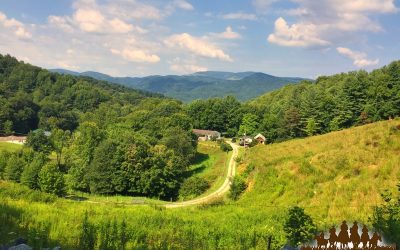 Blue Ridge Parkway Road Trip